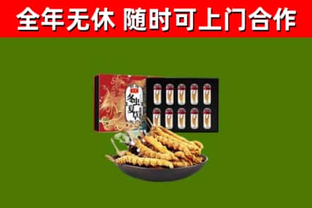 西宁回收冬虫夏草价格